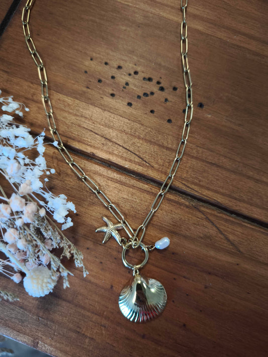Collier coquillage