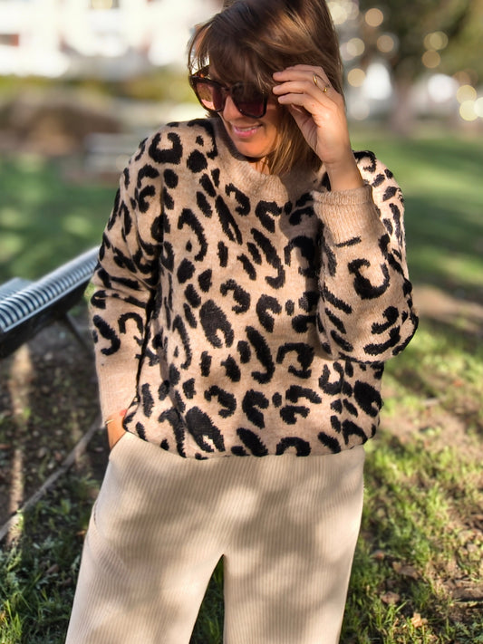 Pull Léopard